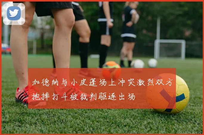 加德纳与小皮蓬场上冲突激烈双方抱摔打斗被裁判驱逐出场