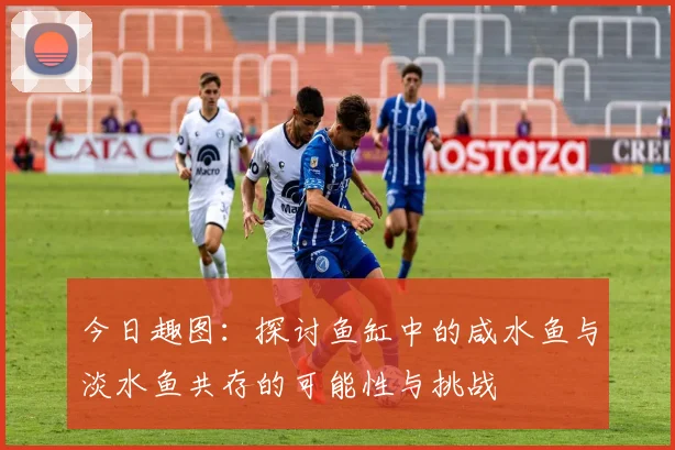 今日趣图：探讨鱼缸中的咸水鱼与淡水鱼共存的可能性与挑战