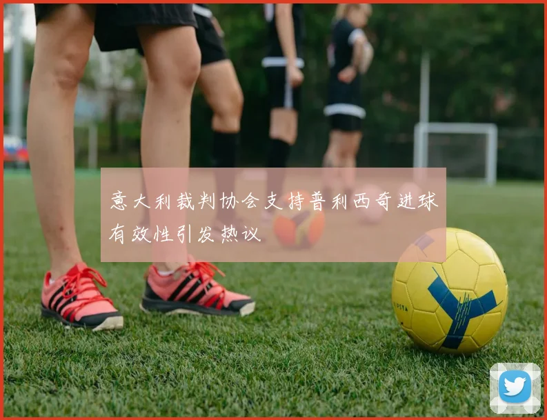 意大利裁判协会支持普利西奇进球有效性引发热议